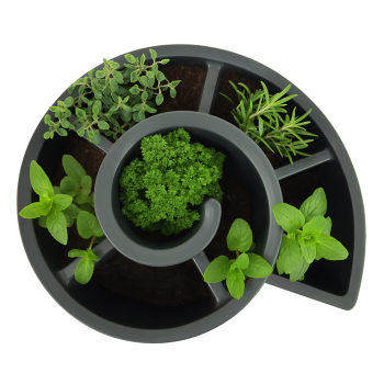 Preview: Pflanzkübel Kräuterspirale Kräuterschnecke anthrazit Kunststoff 52x43x34 cm