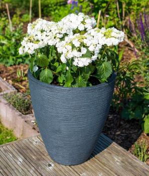 Pflanzkübel Rillentopf anthrazit 28x43cm rund