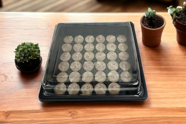 Anzuchtset mit 35 Quelltabs